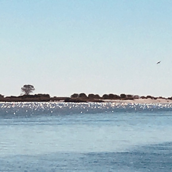 njneena